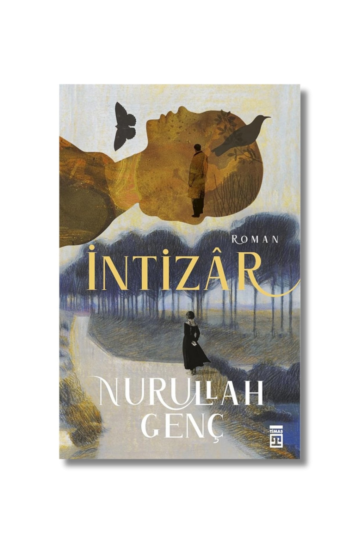 Intizar cover image