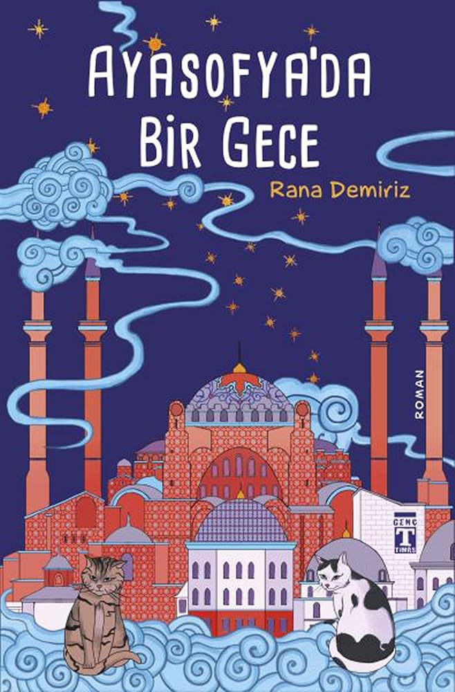 Ayasofya'da Bir Gece cover image