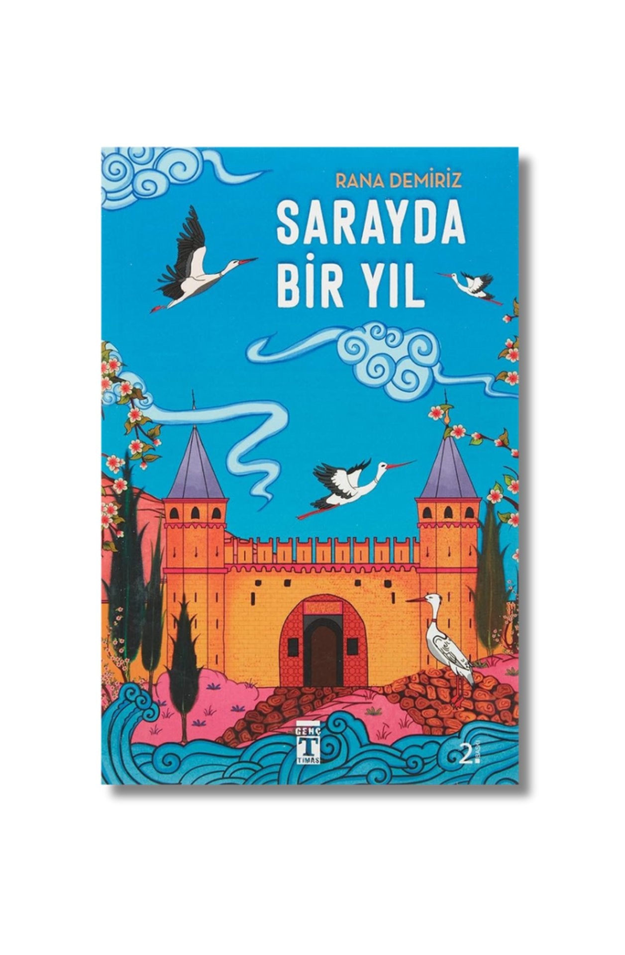 Sarayda Bir Yil cover image