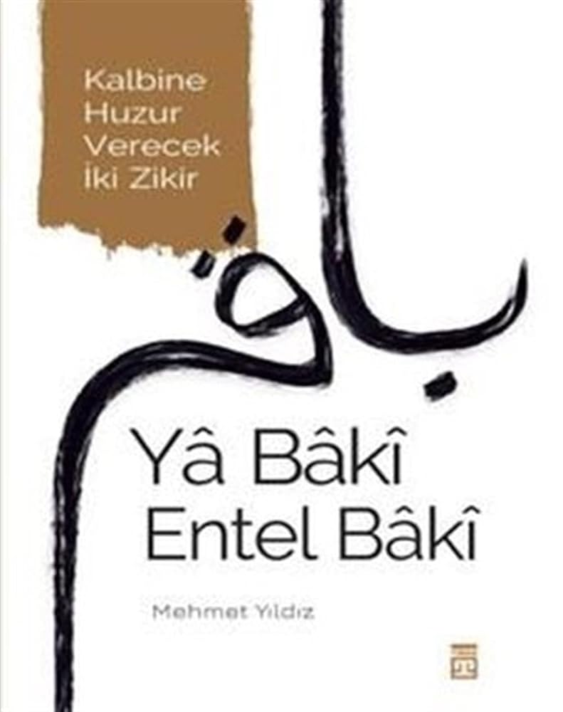 Ya Baki Entel Baki cover image