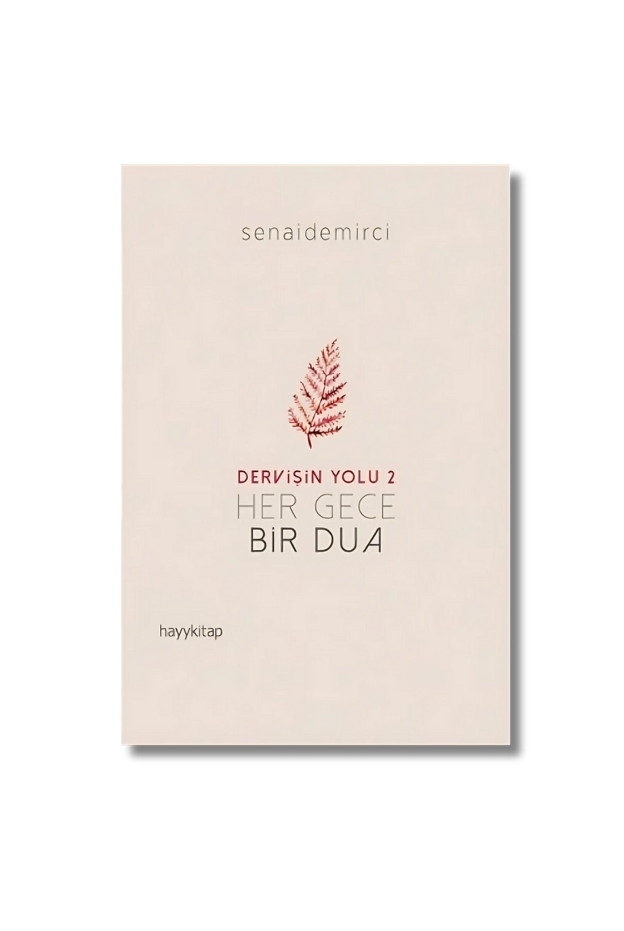 Dervişin Yolu 2 - Her Gece Bir Dua (Turkish Edition) cover image