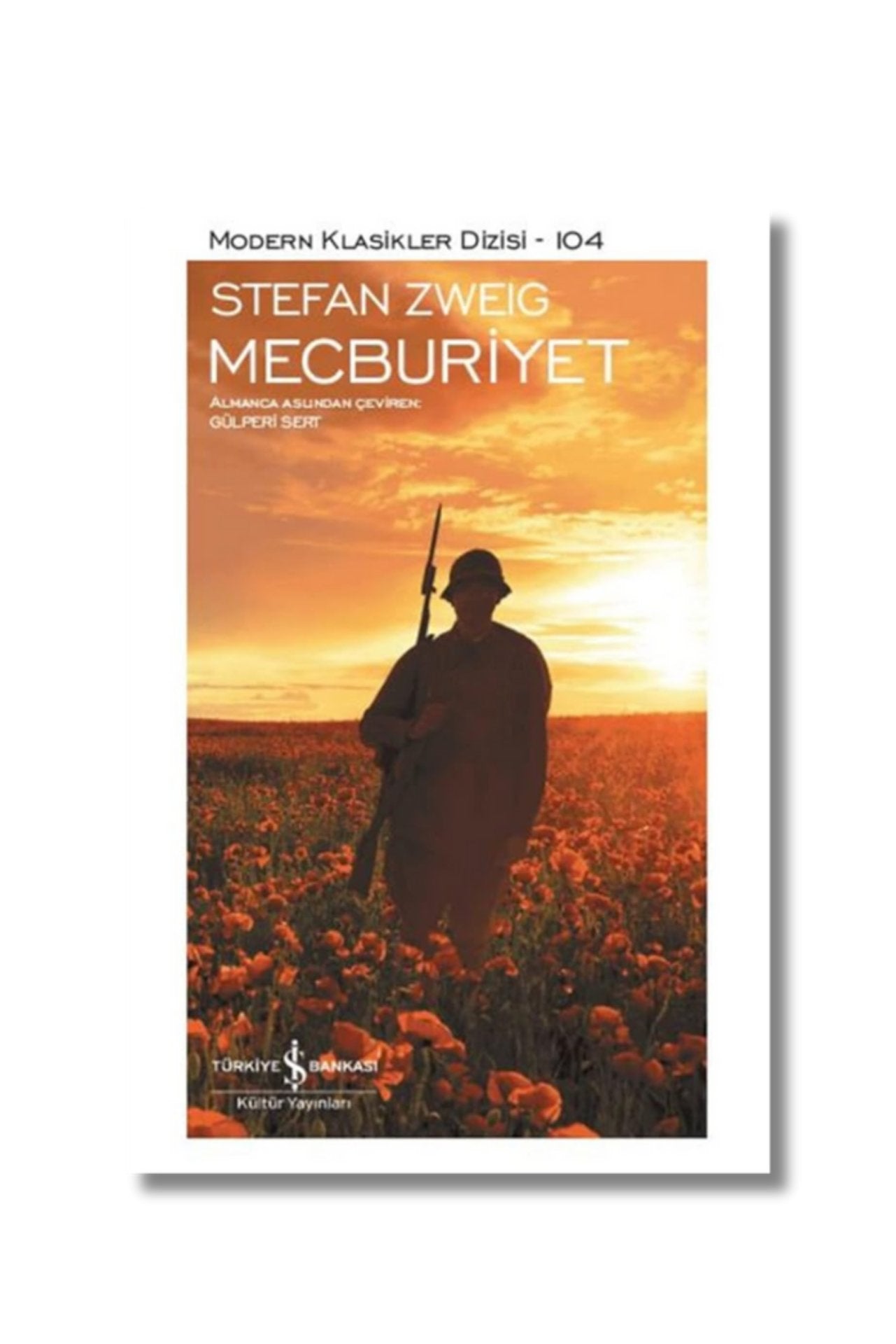 Mecburiyet cover image