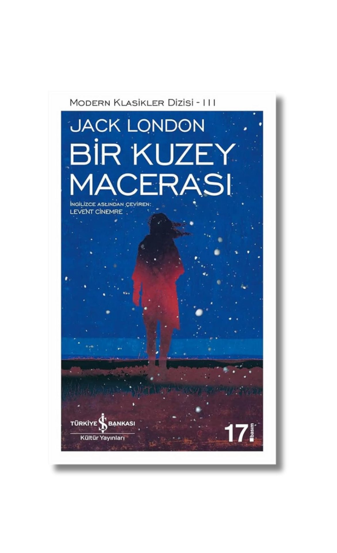 Bir Kuzey Macerasi; Modern Klasikler Serisi 3 cover image