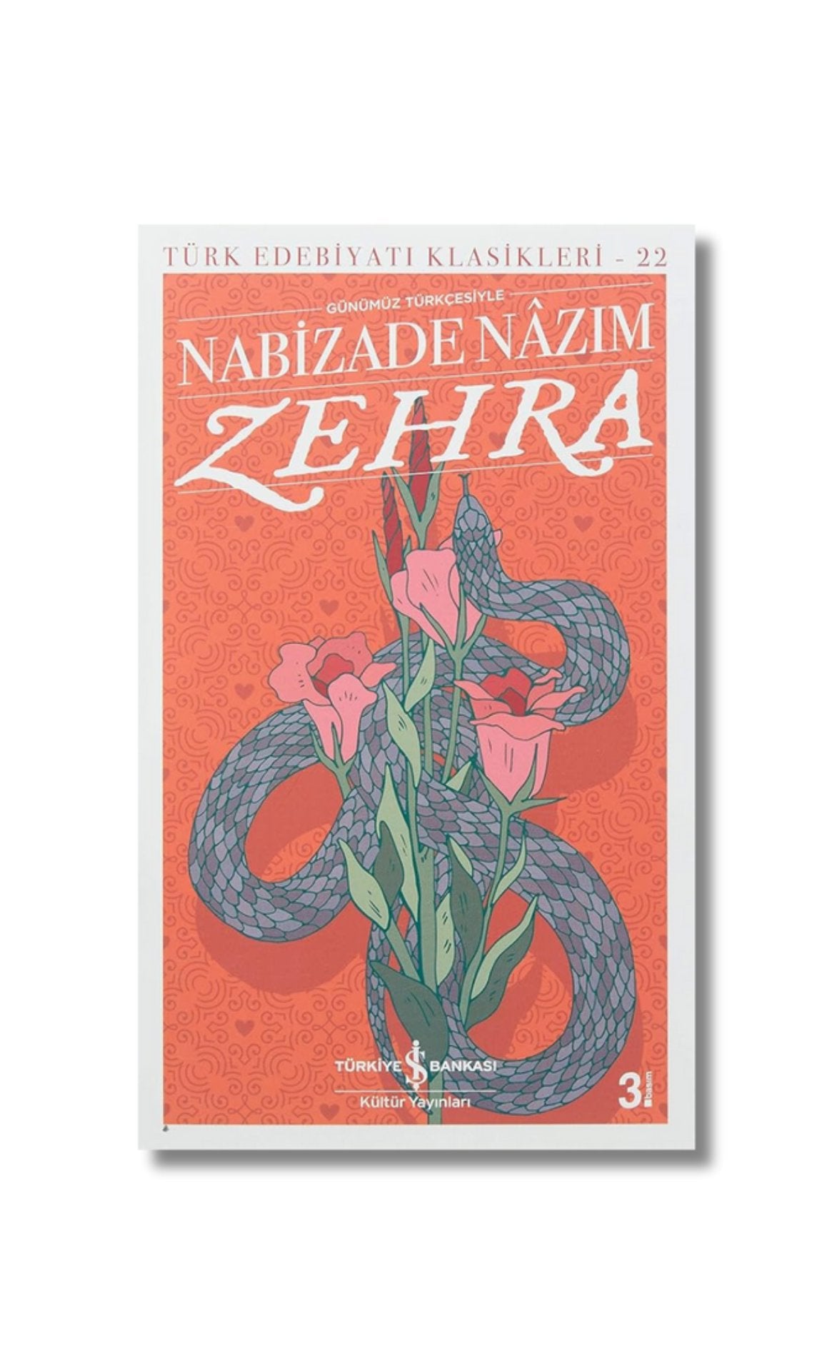 Zehra (Günümüz Türkçesiyle): Türk Edebiyatı Klasikleri - 22 (Turkish Edition) cover image