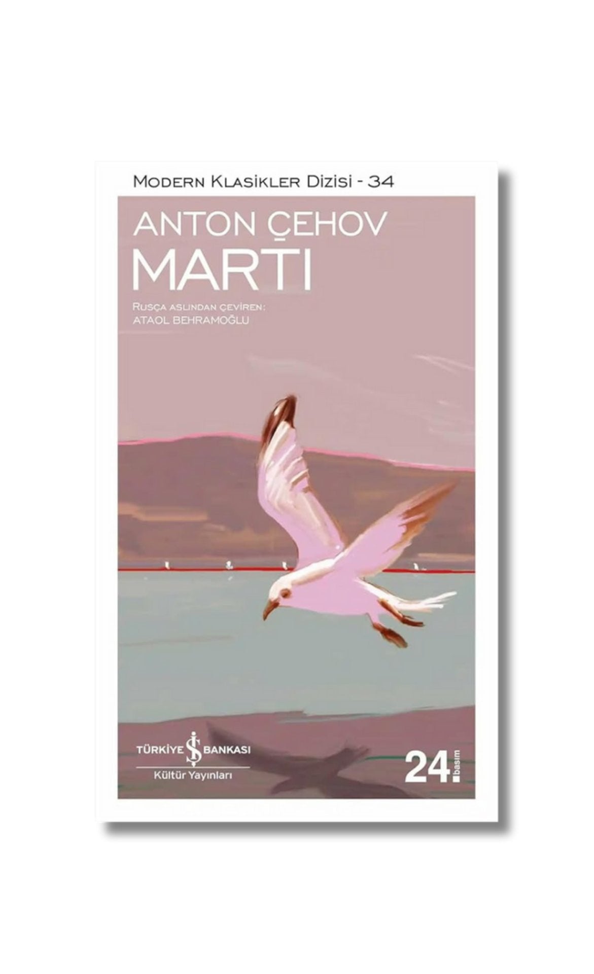 Marti cover image