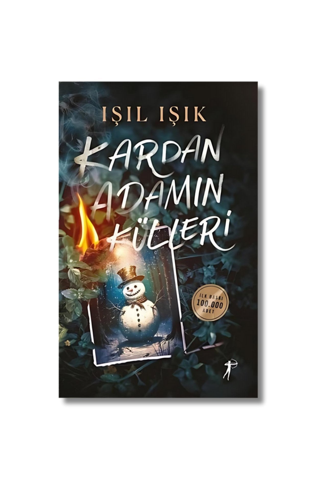 Kardan Adamın Külleri cover image