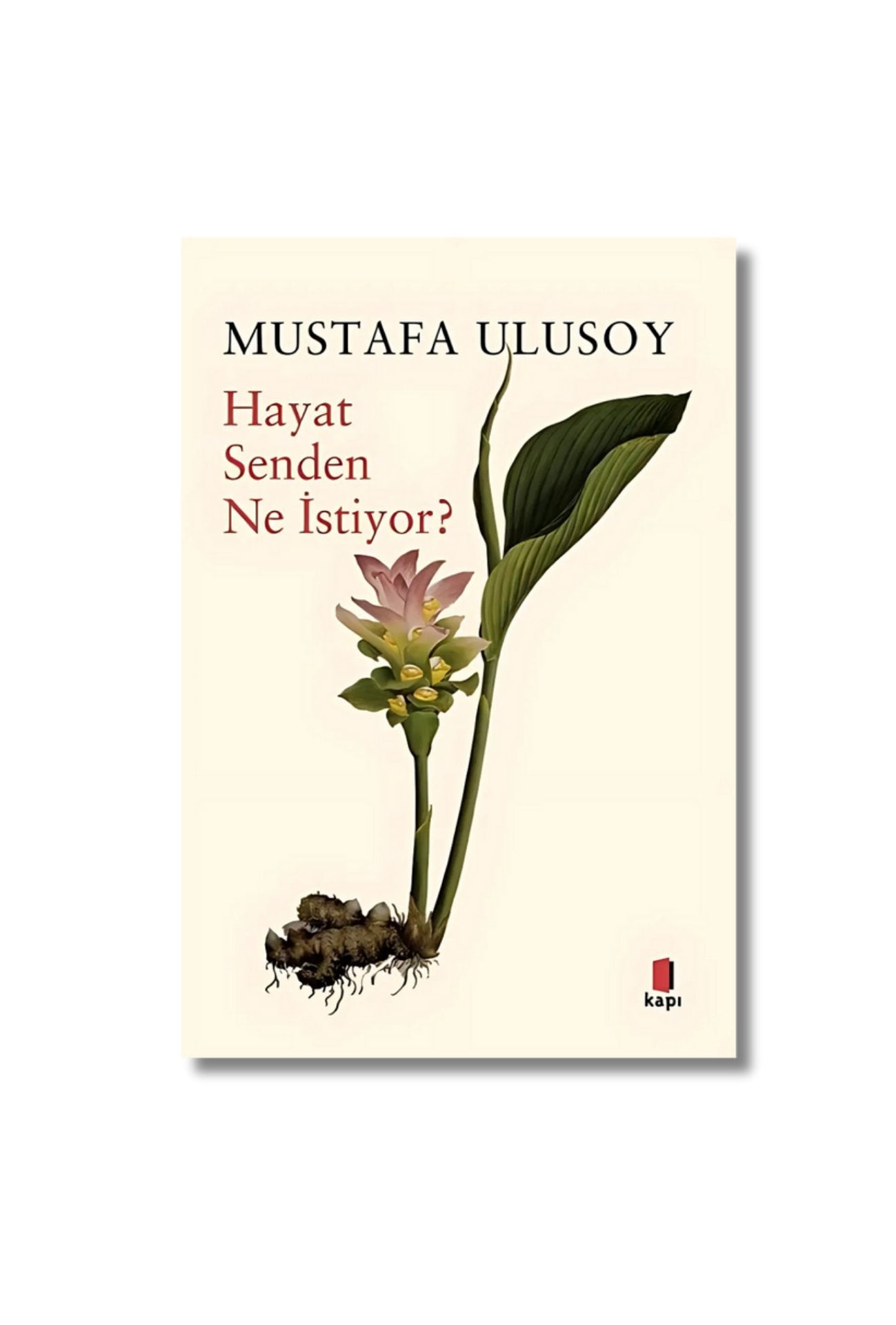 Hayat Senden Ne İstiyor? cover image