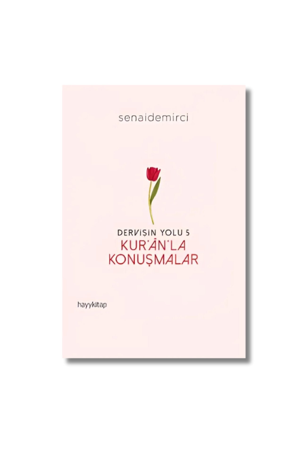 Dervişin Yolu 5: Kur’an’la Konuşmalar - Senai Demirci
