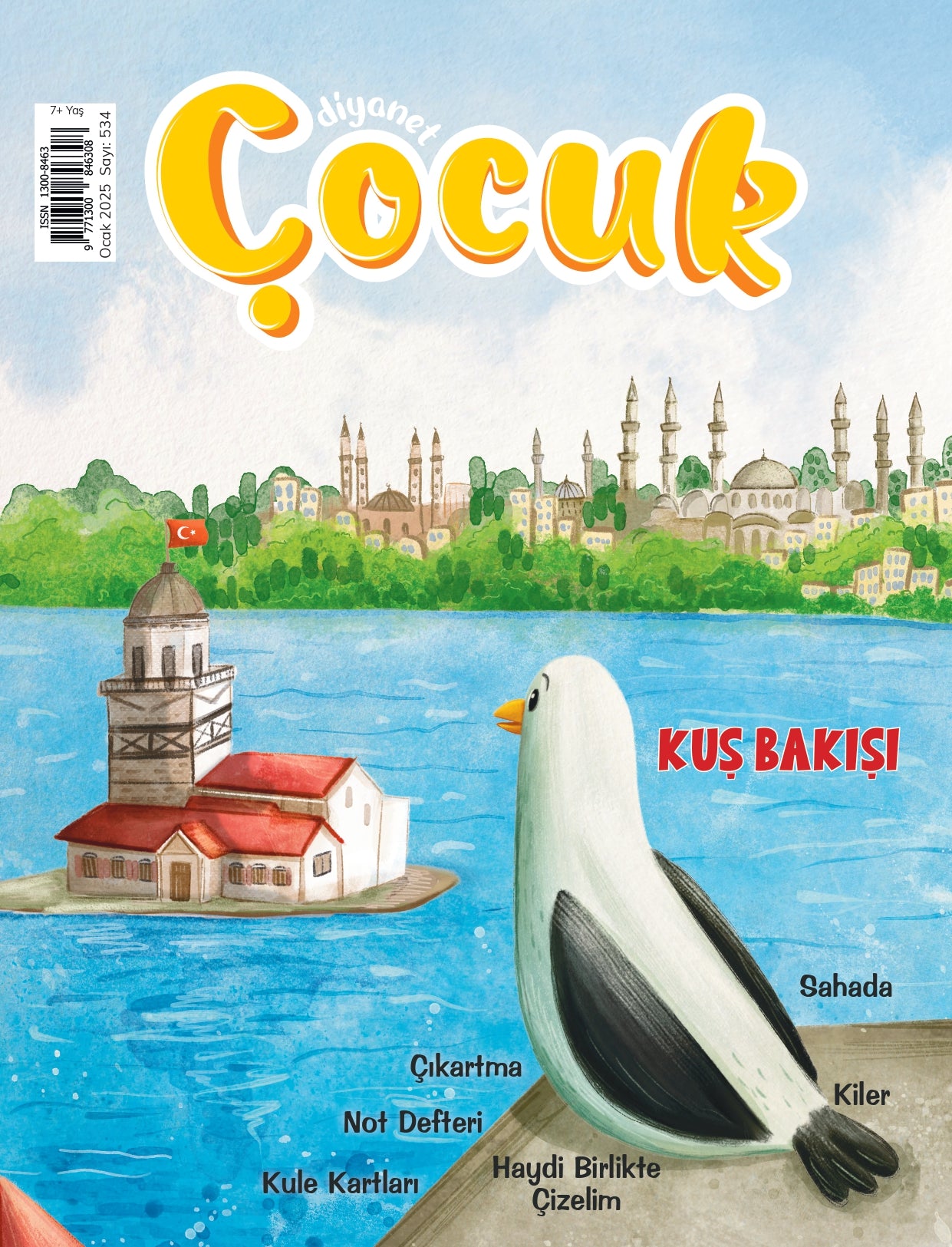 DİB Aylık Dergi Yıllık Abonelik Elden Teslim