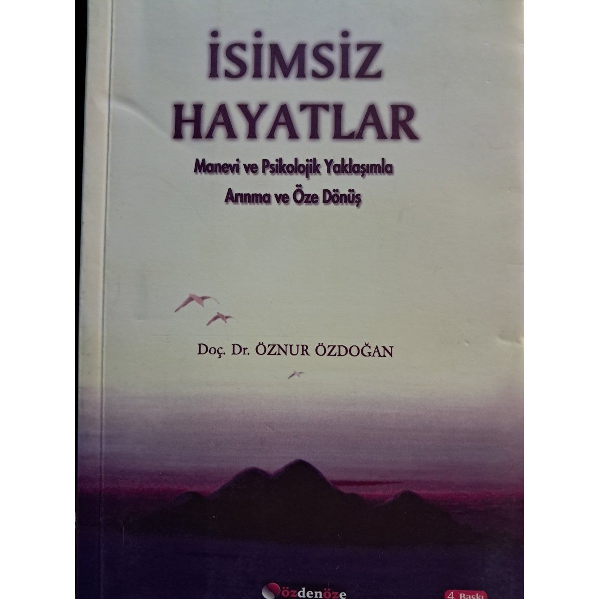 İsimsiz Hayatlar Manevi Ve Psikolojik Yaklaşımla Arınma Ve Öze Dönüş -