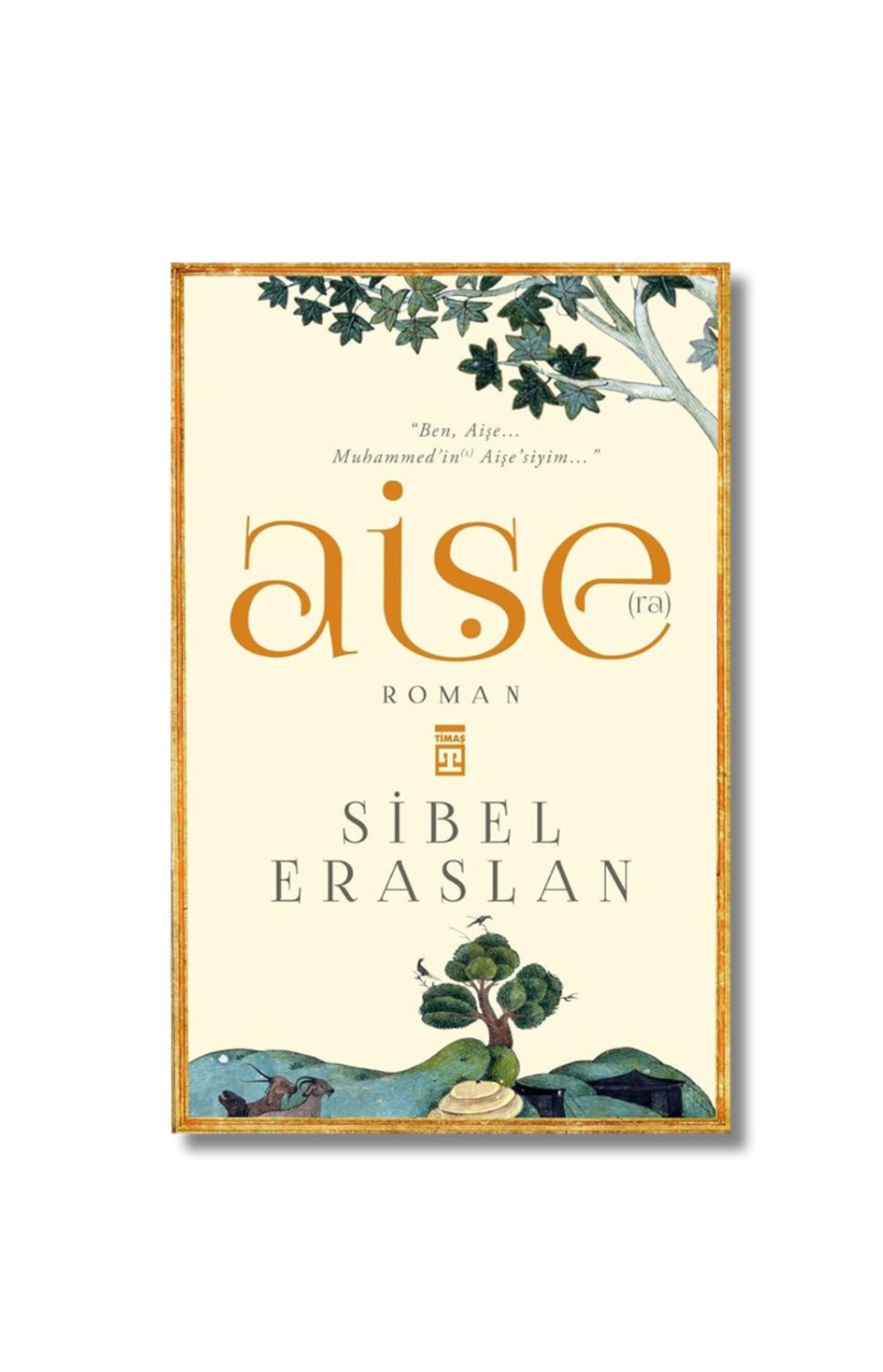 Hz. Aise cover image