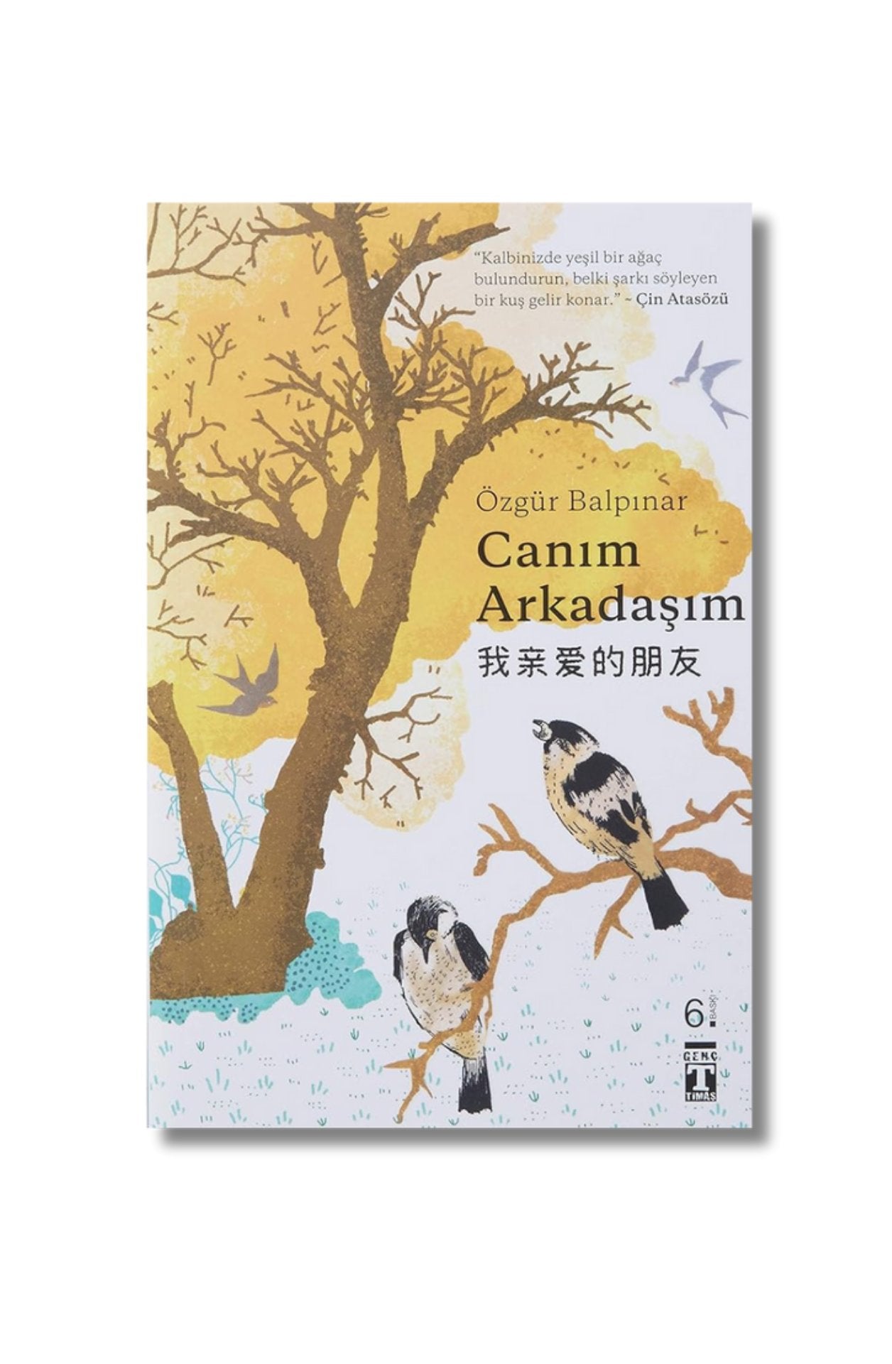 Canım Arkadaşım: "Güzel Kuşlar Güzel Kuşlarla Uçar." (Turkish Edition) cover image