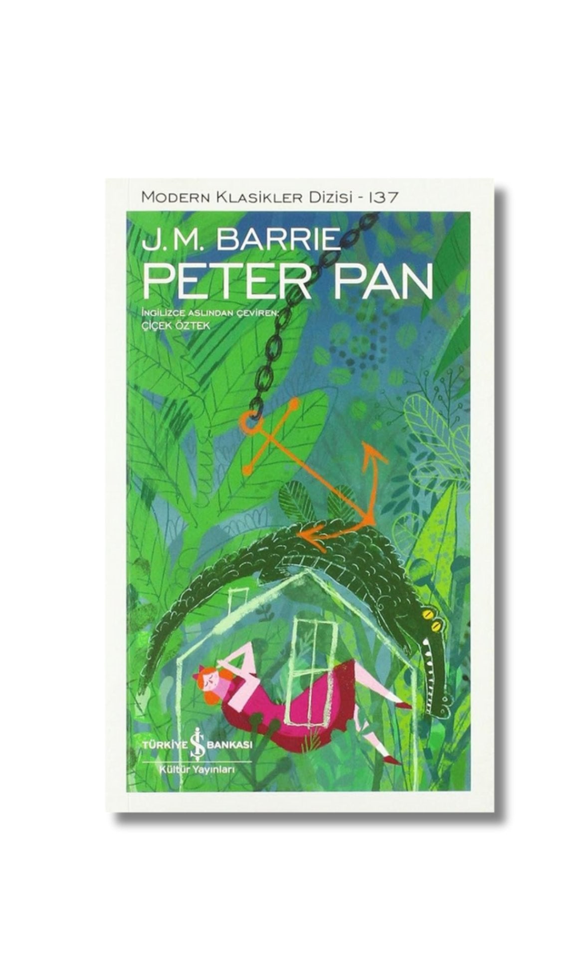Peter Pan: Modern Klasikler Dizisi - 137 cover image