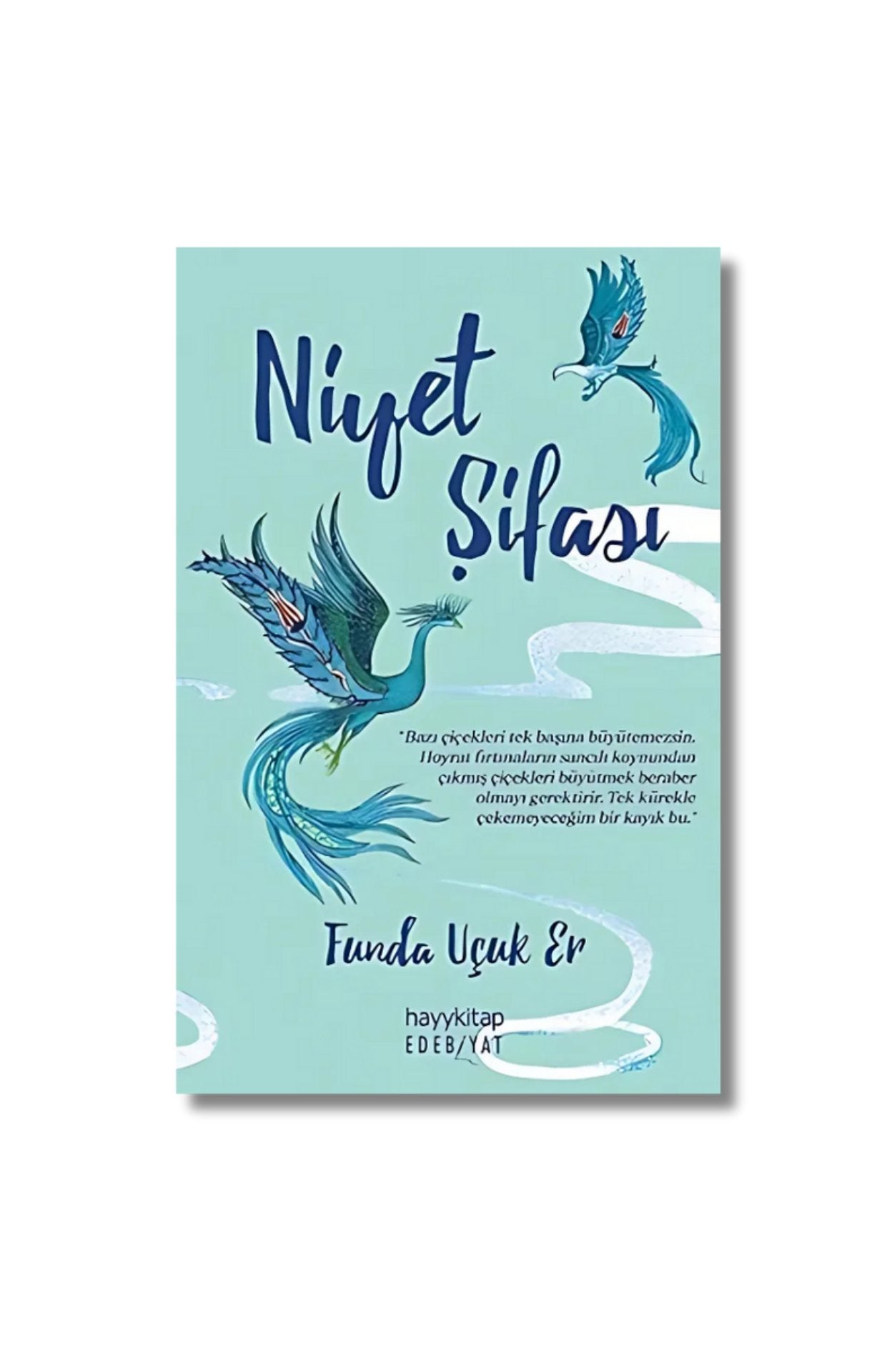 Niyet Şifası cover image