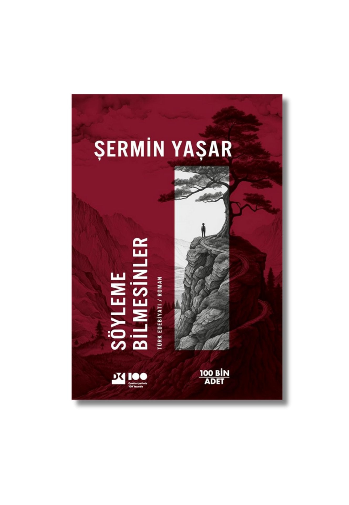 Söyleme Bilmesinler cover image