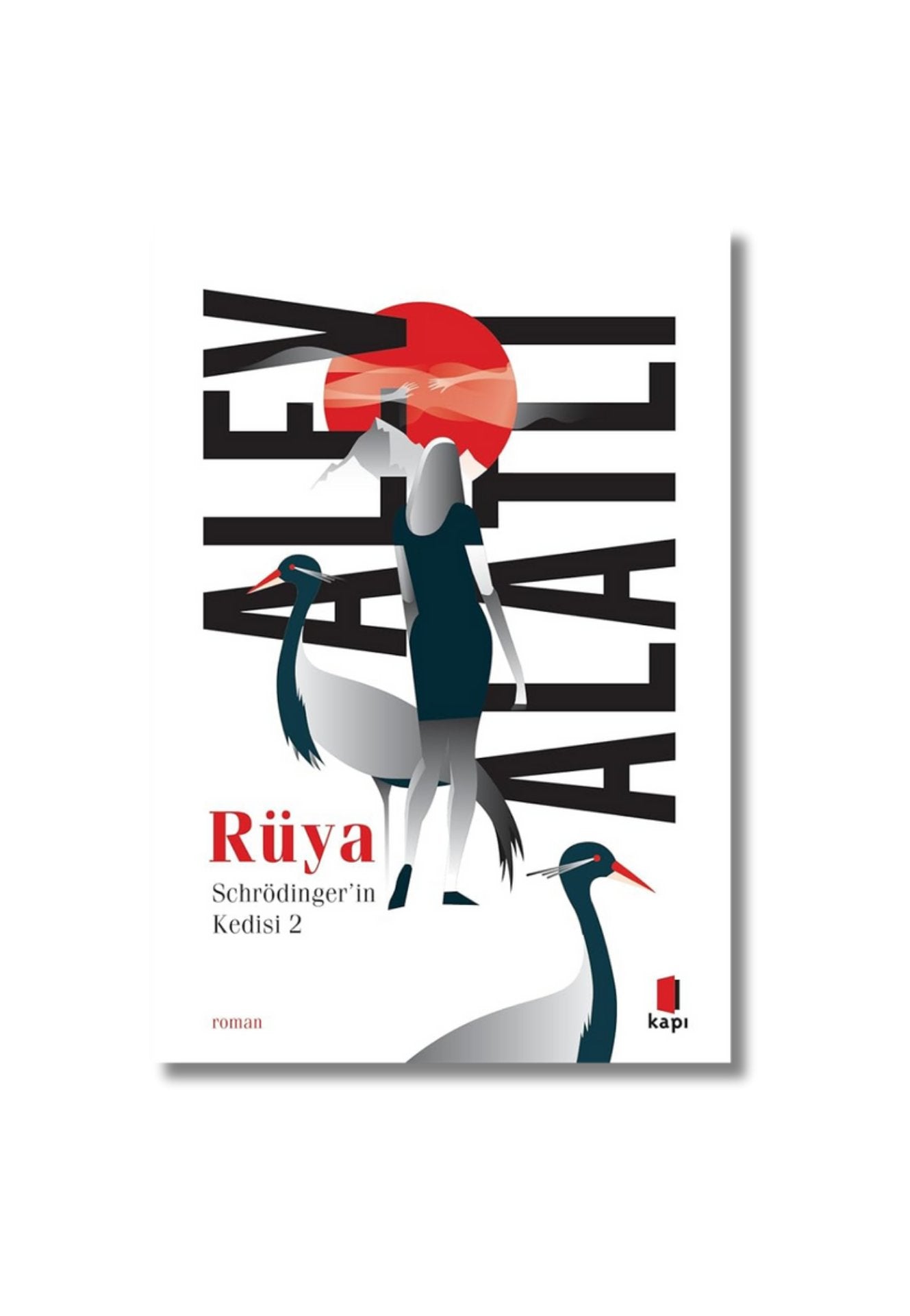 Schrödinger’in Kedisi 2 - Rüya cover image
