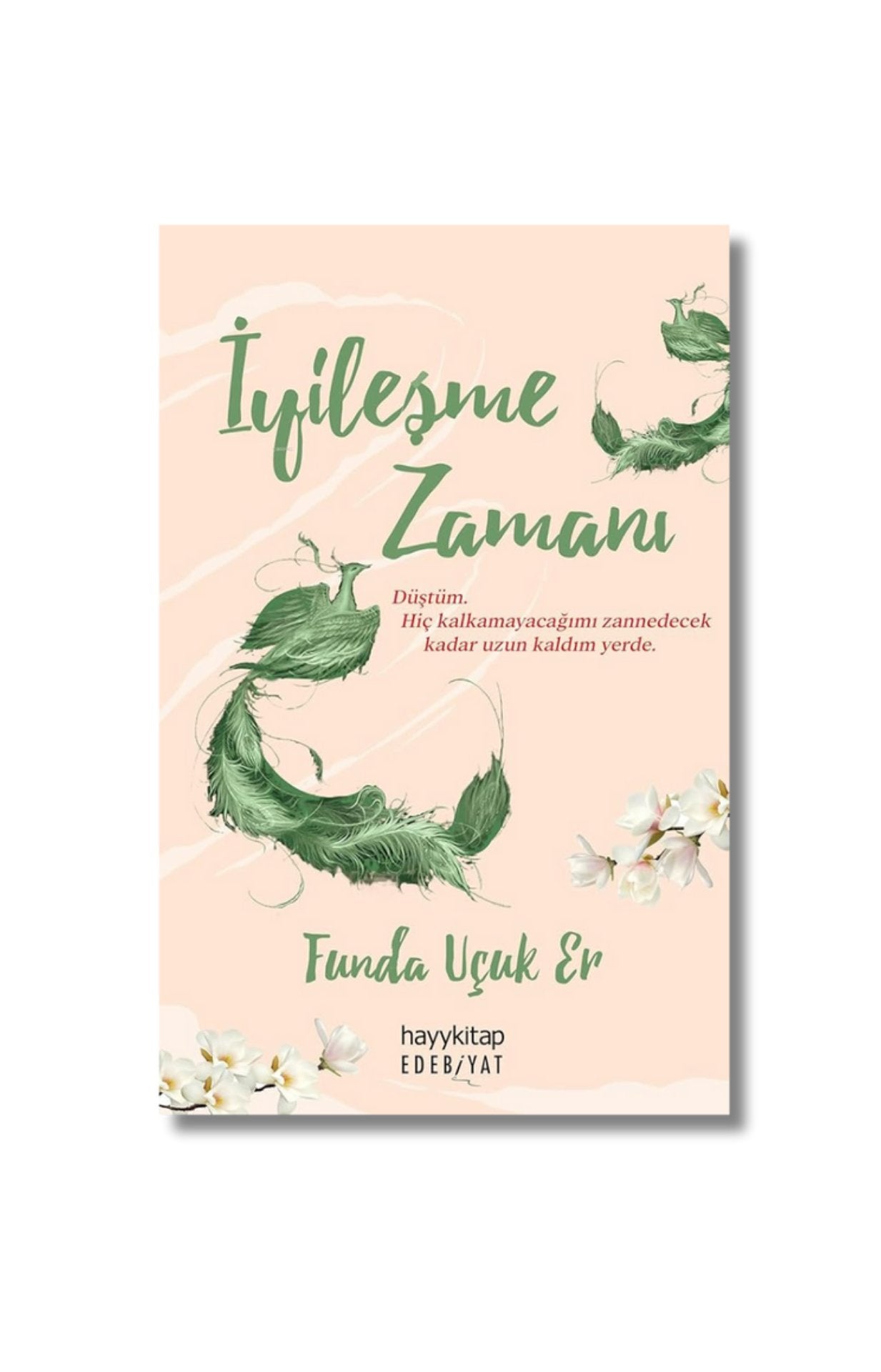 İyileşme Zamanı cover image