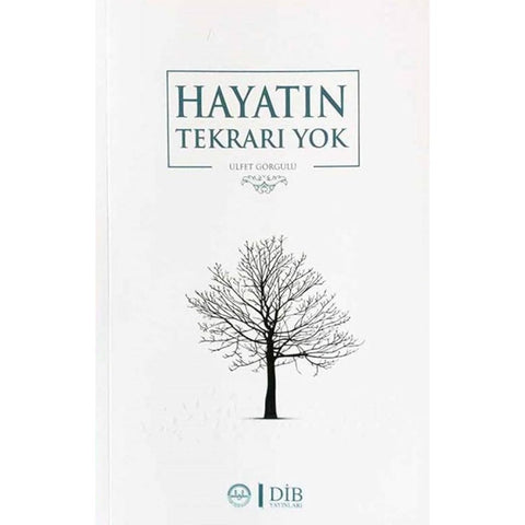 Hayatın Tekrarı Yok - 9789751967091