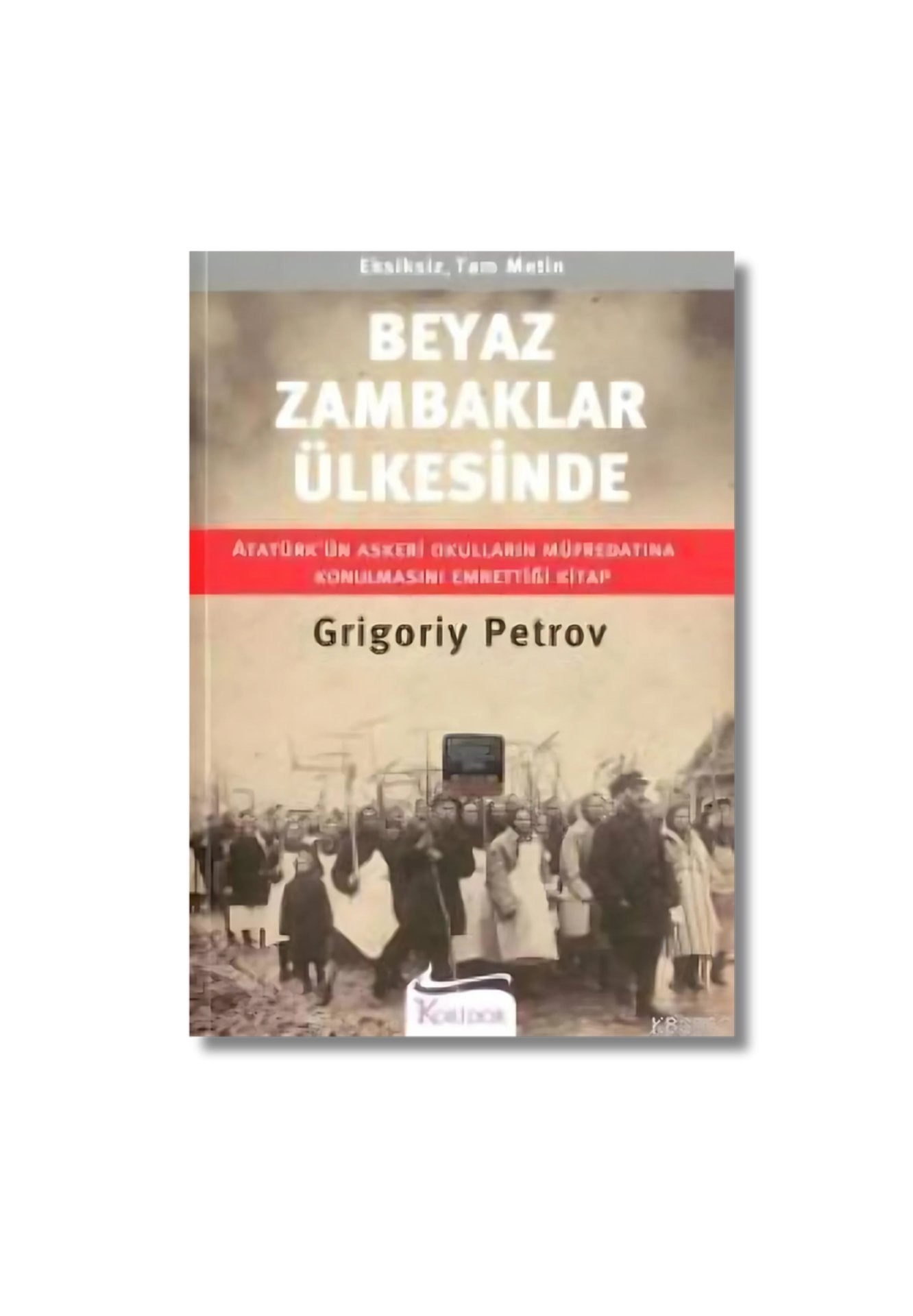Beyaz Zambaklar Ülkesinde: Atatürk'ün Okulların Müfredatına Konulmasını Emrettiği Kitap (Turkish Edition) cover image