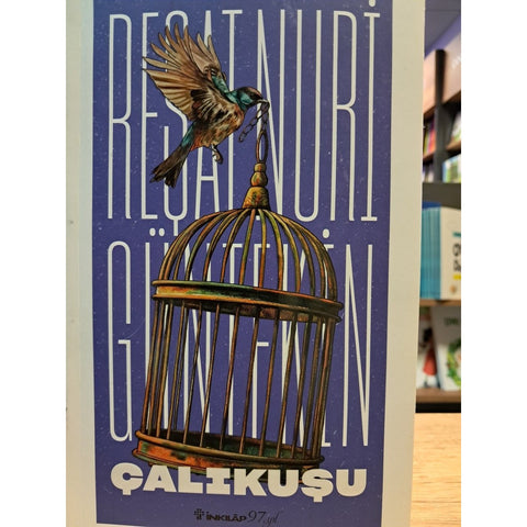 Çalıkuşu - 