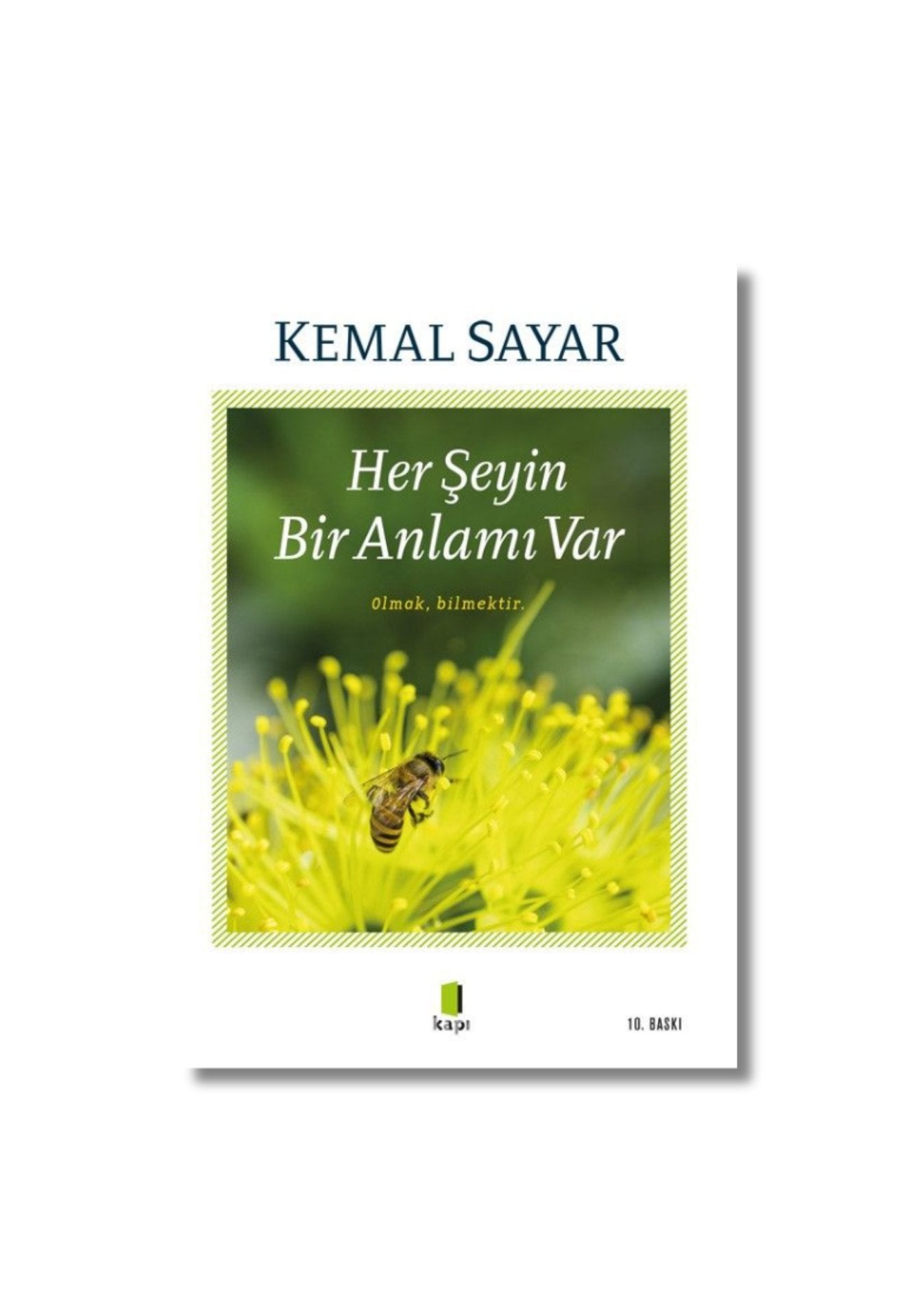 Her Şeyin Bir Anlamı Var - Kemal Sayar